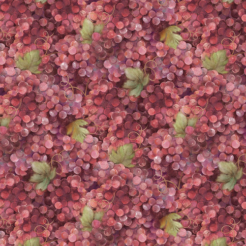 VINO BELLISIMO 60773-337