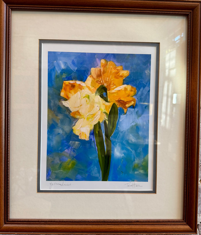 'Yellow Iris Giclee' Print by Terri Hall.